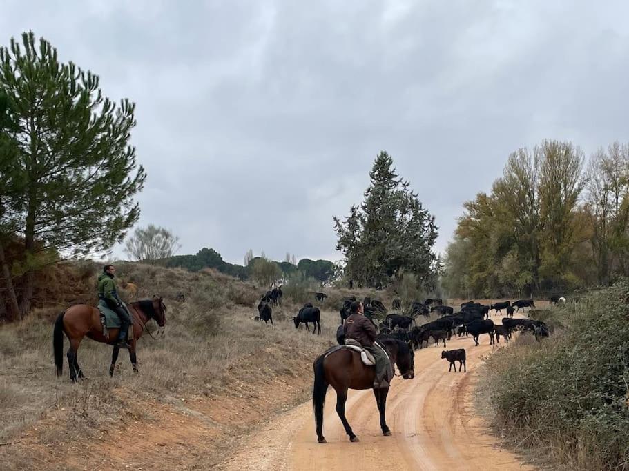 Casa Rural Berta El Picazo Luaran gambar
