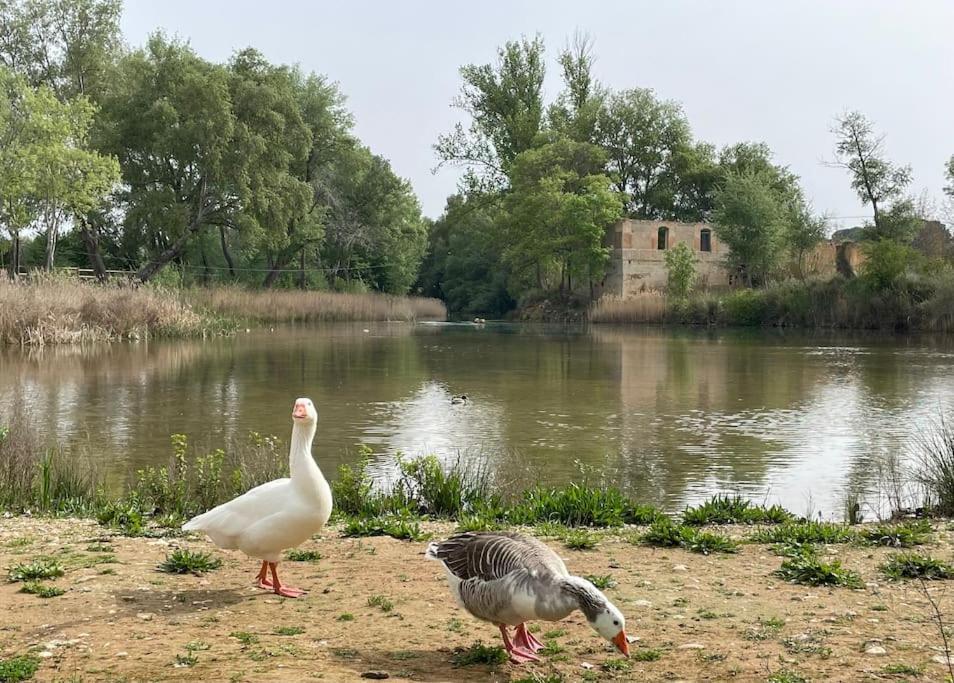 Casa Rural Berta El Picazo Luaran gambar